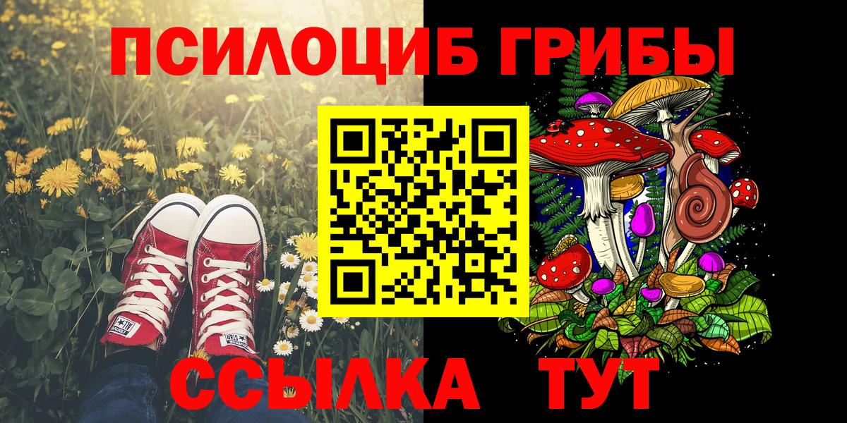 Псилоцибиновые грибы Magic Shrooms Зеленодольск
